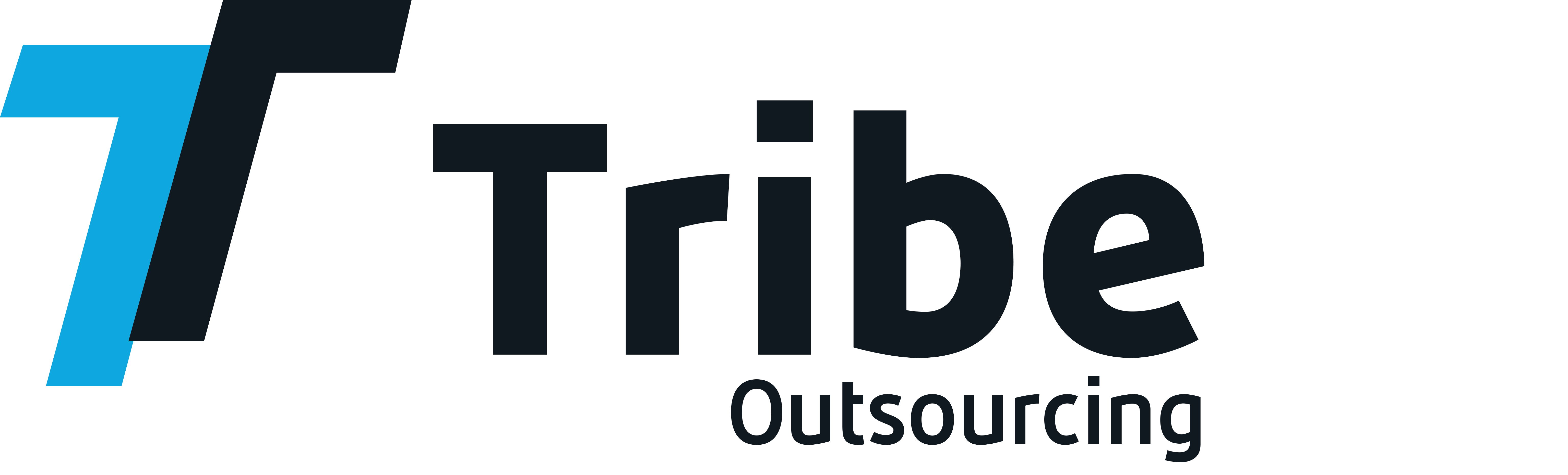 Tribe Outsourcing